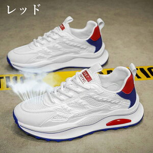 Xj[J[ Xb| Y ₷ ₷ Ȃ RȂ L y   炩 V[Y C