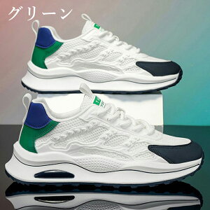 Xj[J[ Xb| Y ₷ ₷ Ȃ RȂ L y   炩 V[Y C