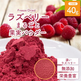 フリーズドライ ラズベリー果実パウダー 40g 添加物不使用 砂糖不使用 フルーツパウダー ラズベリーパウダー フランボワーズパウダー 製菓用 業務用 フレーバーパウダー 粉末 お菓子作り クリスマス バレンタイン 製菓材料 トッピング