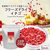 フリーズドライ イチゴ ダイスカット 粒サイズ:5mm 200g 大容量 添加物不使用 フリーズドライフルーツ い…