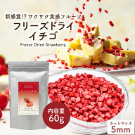 【メール便送料無料】 フリーズドライ イチゴ 60g ダイスカット サイズ:5mm 無添加 フリーズドライフルー…