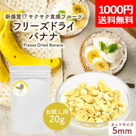 【1000円ポッキリ メール便送料無料】 フリーズドライバナナ ダイスカット 粒サイズ5mm 20g お試しサイズ フリーズドライフルーツ 添加物不使用 砂糖不使用 トッピング 完熟 果物 くだもの 製菓材料 お菓子作り 手作り 乾燥バナナ バナナチップス 離乳食 ポイント消化