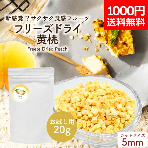 y1000~|bL z t[YhC _CXJbg TCY:5mm 20g TCY sgp Ysgp t[YhCt[c  s[` ʕ  ٍޗ َq