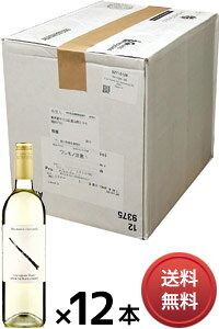 yzy^܂Ƃߔz A^ }A \[Bj u T^ }A @[ [1P[Xi12{j^sN] iKij Alta Maria Sauvignon Blanc [C][AJ][Jt