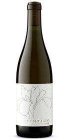 コンティニュアム ソーヴィニヨン ブラン "センティアム" カリフォルニア [2023] （正規品） Continuum Sauvignon Blanc Sentium [白ワイン][アメリカ][カリフォルニア][750ml]
