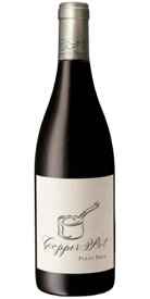 ソーン（ショーン）＆ドーターズ ピノ ノワール "コッパー ポット" ウエスタン ケープ [2021] （正規品） Thorne And Daughters Pinot Noir Copper Pot [赤ワイン][南アフリカ][オーヴァーバーグ＋ステレンボッシュ][750ml]