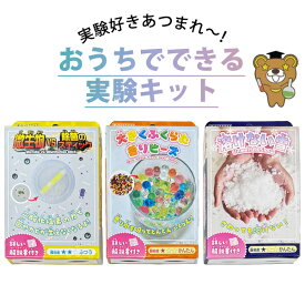 おうちでできる実験キット 微生物VS除菌のスティック 大きくふくらむ香りビーズ 溶けない雪 詳しい解説書付き