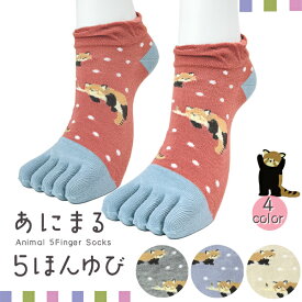 5本指ソックス アニマル総柄 レッサーパンダデザイン スニーカー丈 指先カラー切替 全4色 グレー レッド ブルー アイボリー ドットデザイン 五本指靴下 レディース 23-25cm【RCP】(21E)