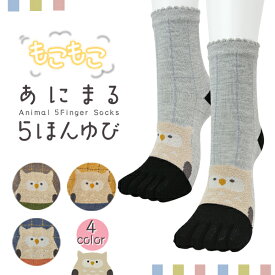 もこもこ あにまる 5本指ソックス フクロウ柄 つま先切替デザイン クルー丈 全4色 ブラック グリーン オレンジ ブルー 五本指靴下 レディース 23-25cm アニマル ふくろう owl【RCP】(21E)