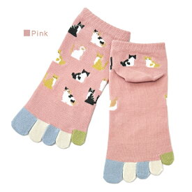 5本指ソックス アニマル総柄 ねこ CAT ネコデザイン スニーカー丈 指先カラフル 全4色 グレー ブルー イエロー ピンク ドットデザイン 五本指靴下 レディース 23-25cm【RCP】(21E)