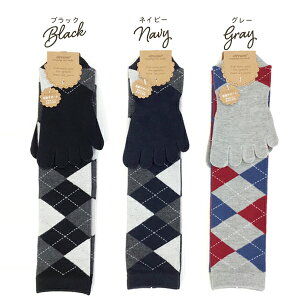 ܖ{wnC\bNX A[KCfUC ȍ ܖ{w\bNX fB[X 23-25cm T|[gt 5{w\bNX J[3FI [Ήi]yRCPz(21E)