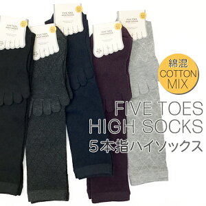 5{w\bNX _C nC\bNX fB[X22-25cm C ȍ ܖ{w\bNX fB[X ƕt T|[g^CvyRCPz