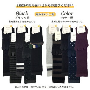 yz1855 C ܖ{w\bNX fB[X 5{wnC\bNX 5{w\bNX 5 22-25cm ȍyRCPz