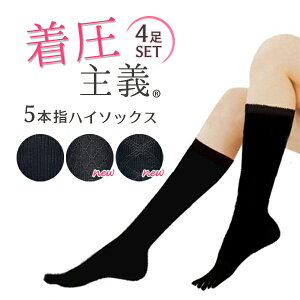 \bNX [4Zbg]` 5{wnC\bNX ܖ{w\bNX ȍ C fB[X ̂ނݔa炰rC ܐ⋭ 22-24cmyRCPz(21C)