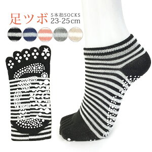 ܖ{w\bNX c{\bNX  ׂ~ {[_[fUC 5{w\bNX Xj[J[ 23-25cm yRCPz(21D-TB0311K2)