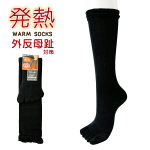 5{wnC\bNX O΍ S M@ nfUC ubN  fB[X 22-25cm ܖ{w\bNX yRCPz