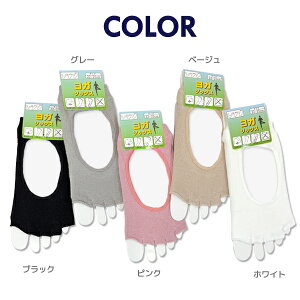 5{w\bNX K\bNX ׂ~ߕt bJ wI[v^Cv FITNESS&SPORTS tBbglXX|[c X|[c\bNX ~ߕt fB[X 22-25cm ܖ{w\bNXyRCPz(21H)