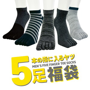 yz5{w\bNX 5Zbg 25-27cm YTCY@ȍ fUC Xj[J[\bNX x[VbN@Vv 5{̎wɓ郄c  Zbg 5 ܖ{w\bNX ܖ{wC