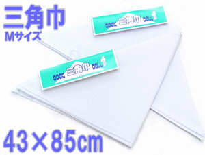 KpXqEwZHɁI@OpЁ@MTCY@43×85cm