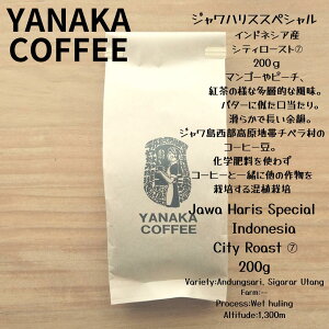 ȂX@@R[q[@WnXXyV@ChlVA