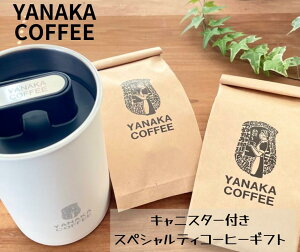 ȂX LjX^[tXyVeBR[q[MtgWnXXyV200gChlVA AeBOA{P[m200gO@e} ȂLjX^[ LX 