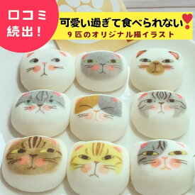 お盆 帰省土産 マドレーヌ 美味しくなってボリュームアップ マシュマロ 和風マシュマロ 9個入りセット「マシュネコ」「マシュネコとマドレーヌセット」プチギフト ネコ 猫 ねこ 和菓子 猫好き 誕生日 お菓子 食べ物 キャラクター かわいい 白あん 鳳瑞 和菓子 ギフト 谷中堂