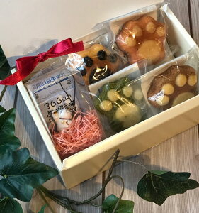 o[Xf[{bNXyj[AĂɔȂ܂Iz av[g XC[c }h[k 366Xgbv 肢t  J