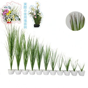 tFCNO[ OX 10{ ^ CeA lHϗtA   C~e[V Ȃ DIY  i IjIOX ppXOX lHt[ a a_ ؒ ̊ 