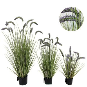 tFCNO[ GmROT 2Zbg 3F lRWV ^ CeA lHϗtA  L炵 t  C~e[V DIY lHt[ a a_ ؒ ̊ 