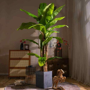  ϗtA ^ m tFCNO[ CeA MѐA 