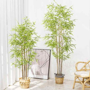  | ϗtA T | ~ tFCNO[ rO   60cm 90cm 120cm 150cm 180cm 210cm 240cm