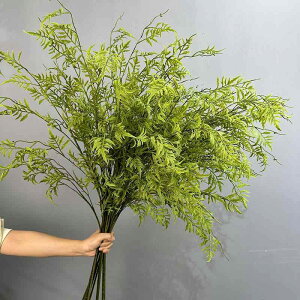 tFCNO[ yV̗t C ϗtA V_̗t CeA f[  tFCN V_ _炩 k ̎} nMO