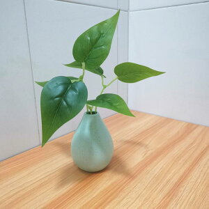 A CeA tFCNO[ ??  ϗtA fXN  Be  z[