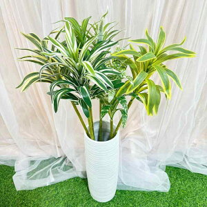 CeA ϗtA tFCNO[  n  ~  p[eB[ Cxg fBXvC VN