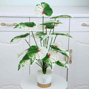 ϗtA CeA A lH ~ tFCNO[ fXN  rO Q k