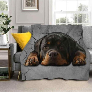 ѕz  uPbg 킢 ybg |GXe \t@ Q  70x100cm 100x130cm 130x150cm 135x200cm 150x200cm