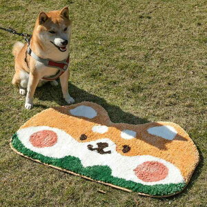 O }bg 킢 Č Q rO փ}bg z ~ O~ |GXe 60 90cm G Aj}