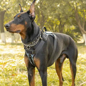 ���p�n�[�l�X ��^���p ���� ���[�h �Z�b�g �y�b�g �������[�v �L�k �U���p �z�� �I�����W �s���N �u���b�N ���b�h �u���[ �O���[ ���[�Y �p�[�v�� ���� XS S M L XL