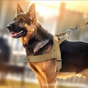 pn[lX ^ ^ xXg [v S[fgo[ uh[ go[ U P iC ubN J[L RpO[ sN