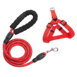 p[h n[lX  Zbg ˍ Up [v ^ ^ Ch~ ϖ v iC  