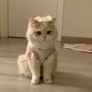 ybg ^p Lp 킢 s[X t  t XJ[g XS`3XL O[ sN u[ CG[ zCg ubN