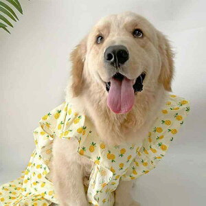 ybg  uh[ TGh s[X S[fgo[ {[_[R[ xXg ^ ^ p 킢 pCibv |GXe