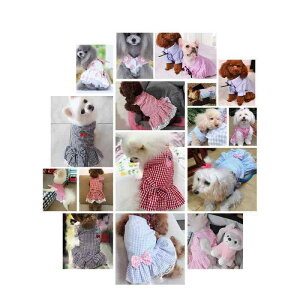 ���� �h�b�O�E�F�A �t�� ���^�� �L�p ���� �����s�[�X ���킢�� �v�����Z�X �X�J�[�g �u���[�n �i�q�� �s���N�n �i�q�� �u���b�N�n �i�q�� ���Z���b�h �i�q�� ���[�X �������[�v�t��