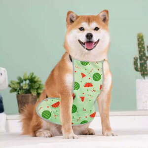 p R[ ̕ی h lGʗp ۉ h h pXeJ[