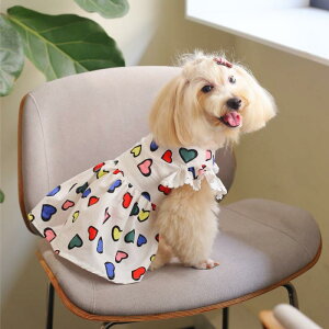 �y�b�g�� �� �L ���p �����s�[�X ���킢�� ���S�� ���^�� ���^�� �K�p �|���G�X�e�� �J���t�� �p�[�e�B�[ ���i�g��