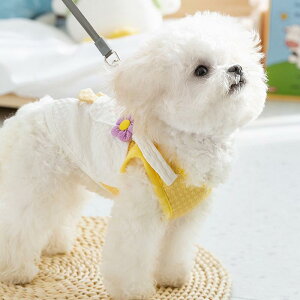 ybg wS 킢  ^ L  t bNF ? |Pbg n[lX XS S M L XL XXL