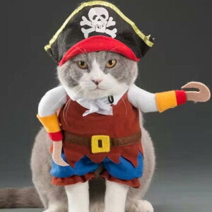 ybg  p C RXv  킢 ^ ^ Lp |GXe nEB Cxg p[eB[