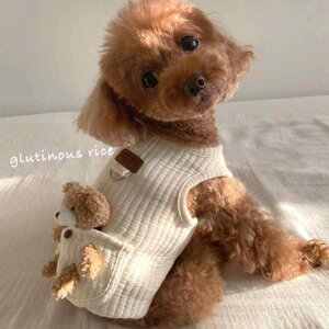   F |jA 킢  ʂ N}  xXg L H~ \  nb