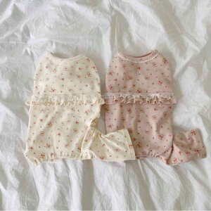 ybg 킢ԕ  Ȃ hbOEFA wS pW}  ۉ sNn AC{[