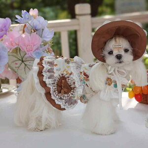  킢^pXJ[g generalization |GXe@ N[pt XS S M L